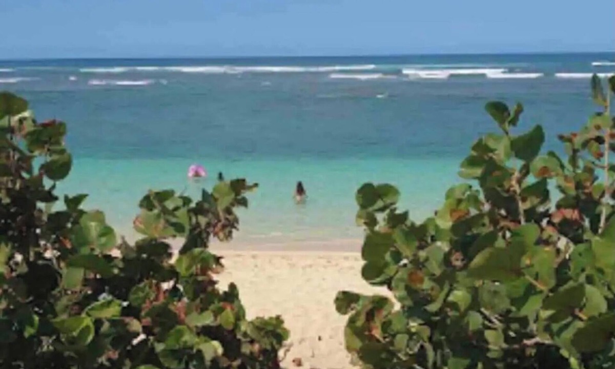 Mokuleia Condo | 2-bedroom condo steps to the beach!🏝️
