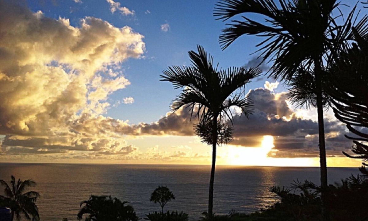 Ninole House | 6.5 acres Oceanfront Estate with180-degree views of the deep blue Pacific Ocean!