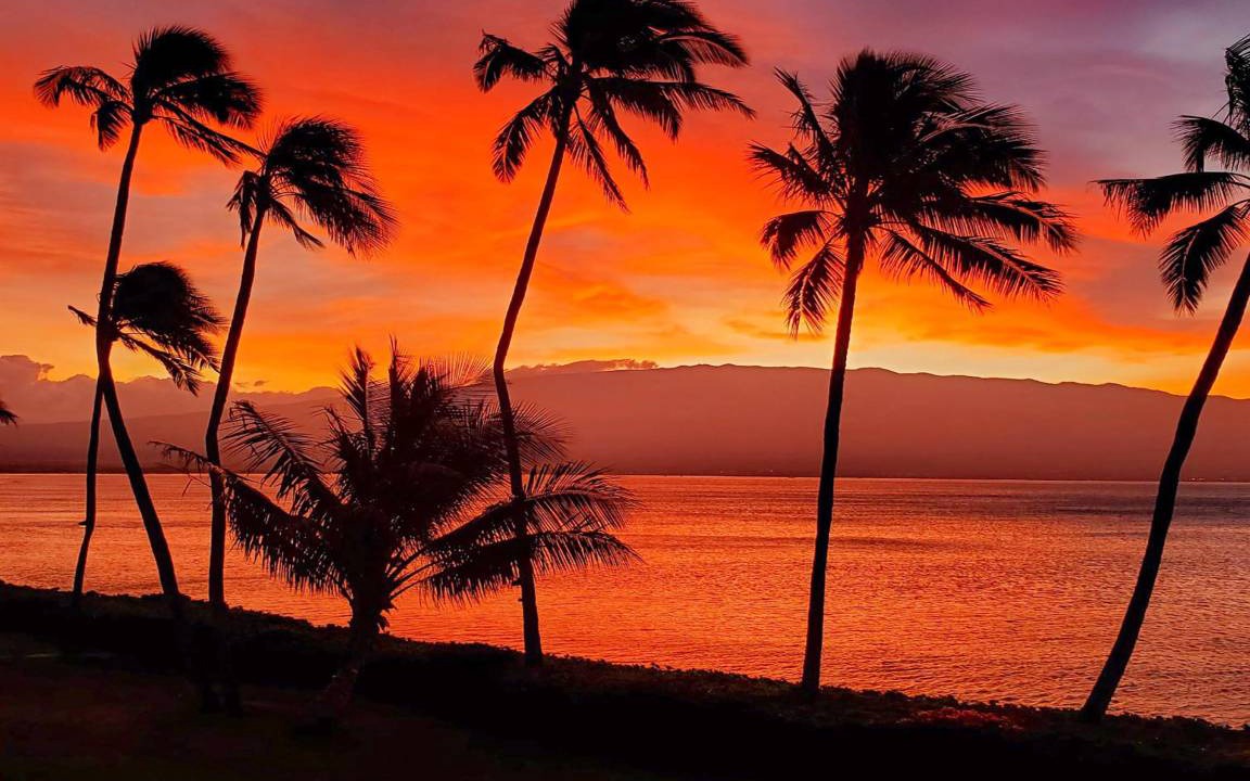 Maalaea Condo | 73 m² Condo ∙ 2 bedrooms ∙ 6 guests
