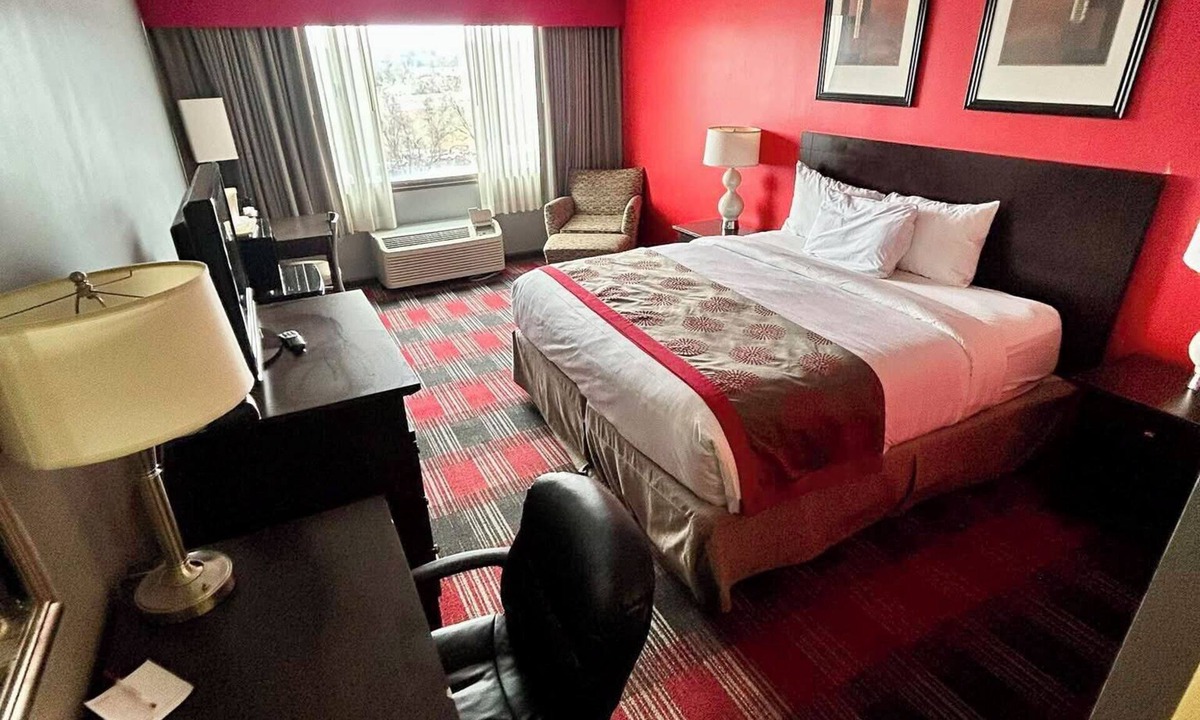 Albany Hotel | Albany Plaza Hotel