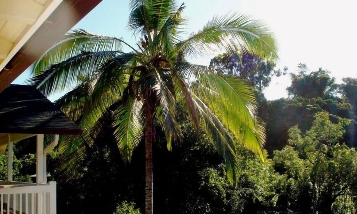 Bamboo Valley Inn | Pauwela