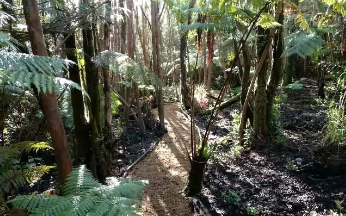 Glenwood Other | Camping ∙ 1 bedroom ∙ 2 guests
