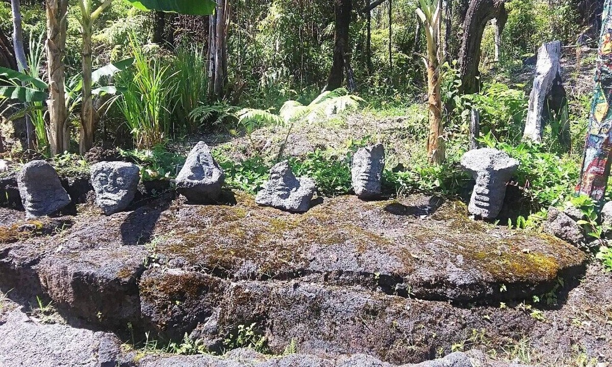 Fern Forest House | Clean Off-Grid Art Lovers Rainforest Hideaway!