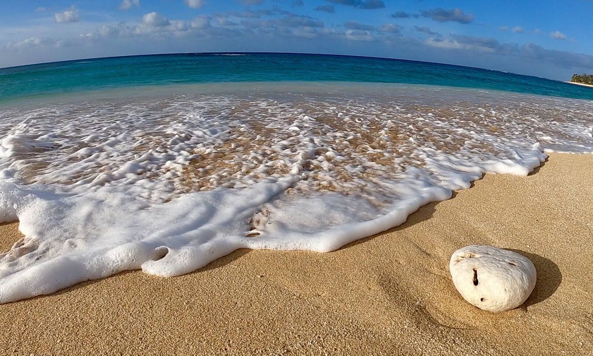 Pupukea Cottage | ICE OPTIONAL IN PARADISE.SURF IS UP.WALK to PIPE where the BIG WAVE ACTION IS