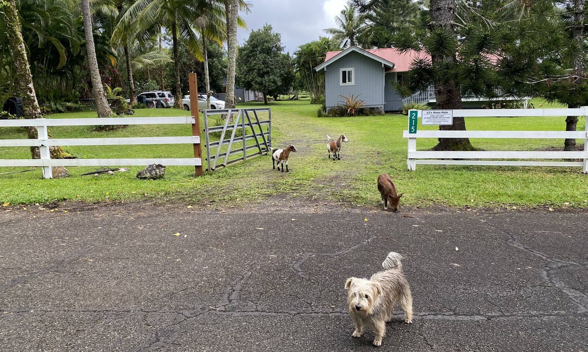 Hana House | JJs Hāna Hale - Farm House