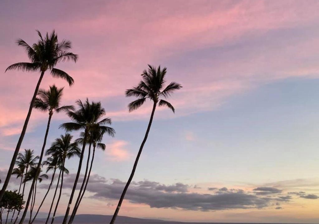 Kihei Apartment | Live da HI life-great beach and great views!