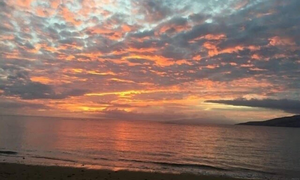 Kihei Condo | Lush Garden Charmer - Breathtaking Sunsets