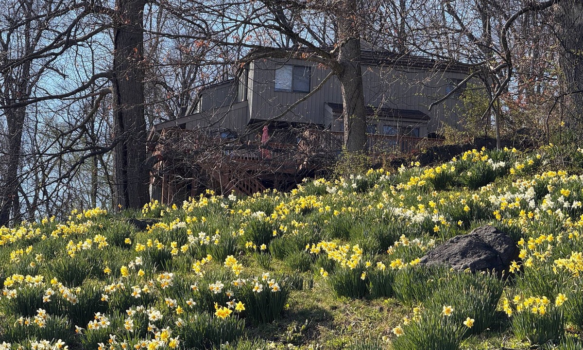Croton-on-Hudson House | Scenic & Serene: 3BR/3BA w Panoramic Hudson Views! A Birder's paradise