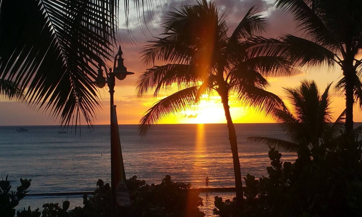 Renovated | Waikiki