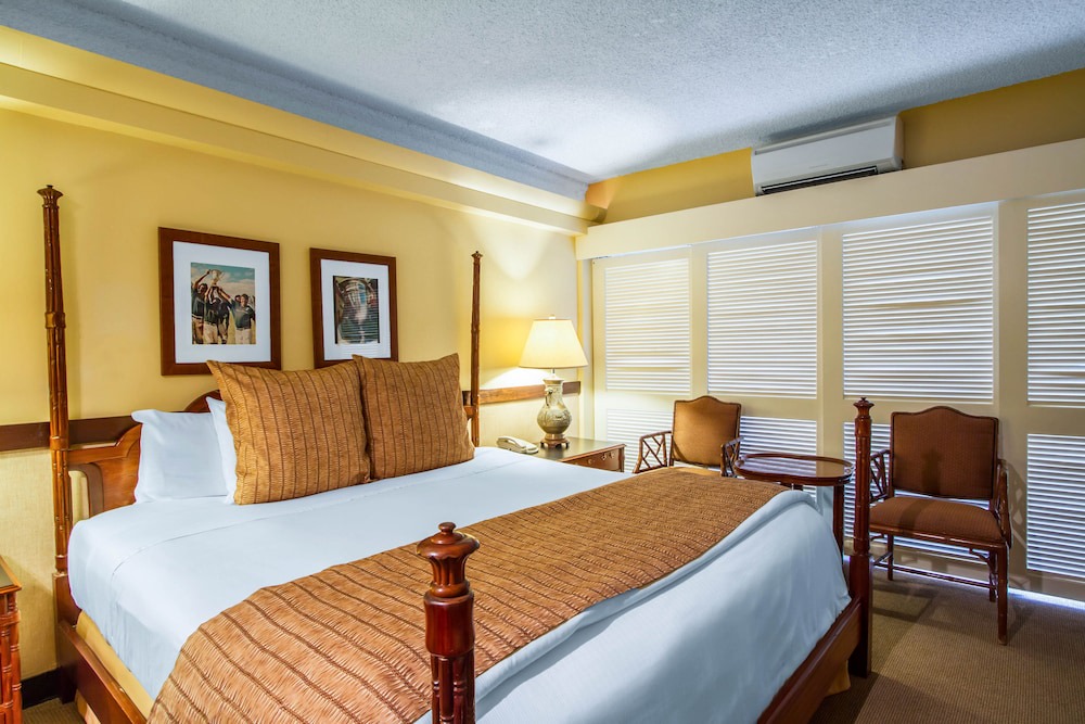 Waikiki Hotel | The Equus