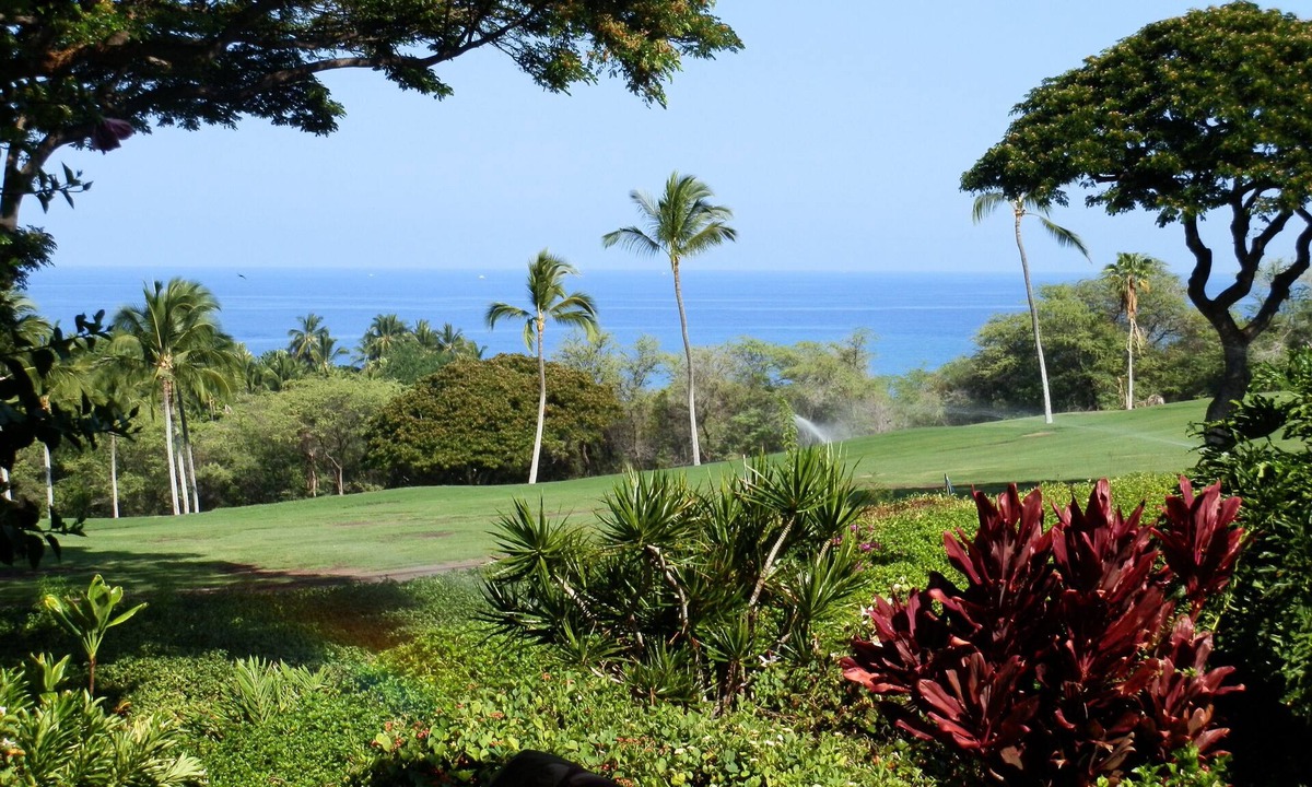 Keauhou Akahi | Keauhou