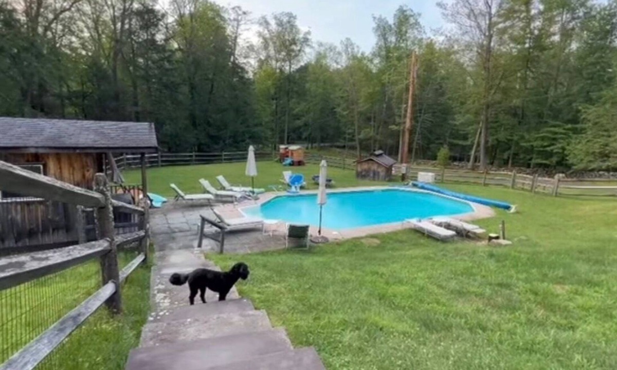 Zena House | Woodstock Luxury Home- heated pool, hot tub, 9 beds