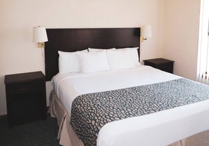 2 - BD Lakeview Economy Suite 2B3