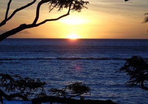 Aloha Aku - Ohana 1