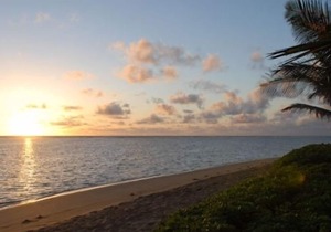 Beachfront Studio Cottage