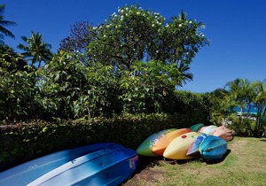 Lawai'a Sea Lodge Downstairs - Ocean Front - Hosted - KAYAKS INCLUDED