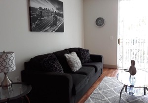 Luxury Downtown apartment