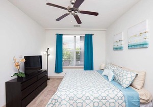 Luxury Downtown apartment