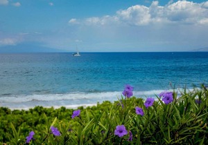 Polo Beach Club by Coldwell Banker Island Vacations