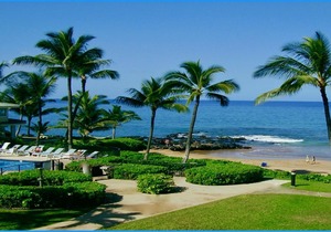 "Sunsational"Oceanfront Condo in Polo'sTop Spot-Huge Views & only steps to beach