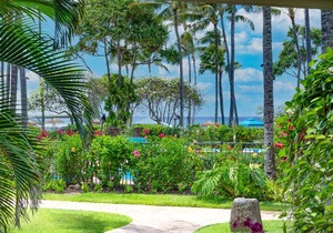 Villa 110: Fall REDUCED 50%! Ocean View Turtle Bay