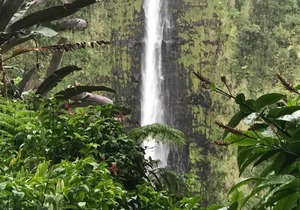 Volcanoes National Park - minutes away. 25 acre Nature Lodge