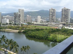 Island Colony | Waikiki