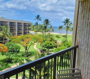 Maui Br Ocean 