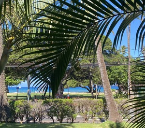 Honokowai Palms 