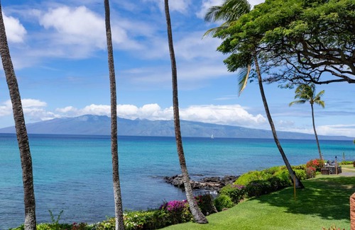 Honokowai Condo | 56 m² Condo ∙ 1 bedroom ∙ 2 guests
