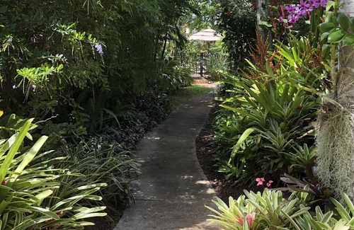 Poipu Apartment | Ocean-View Studio, Steps from Beaches In Sunny Poipu