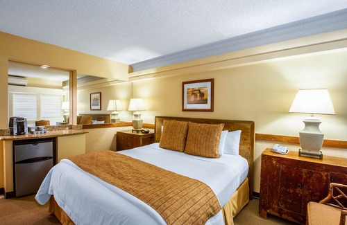 Waikiki Hotel | The Equus