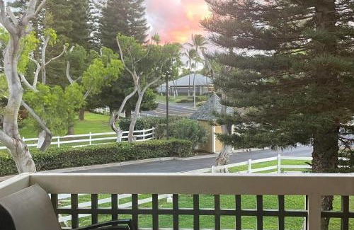 Waikoloa Apartment | Waikoloa Hills #105: Pineapple Paradise