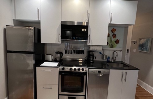 Rochester Apartment | #9 Beautiful studio, full kitchen near 590/490