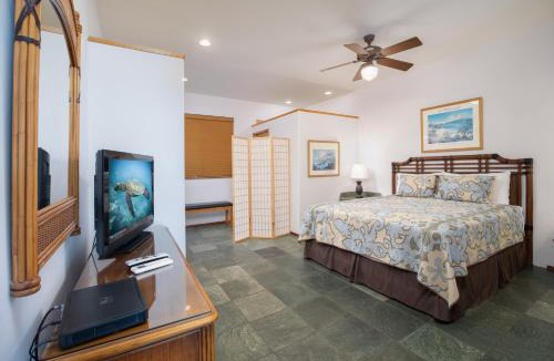 Kihei House | Aloha Aku Honu2 Suite - Relax by the Sea in Tranquility