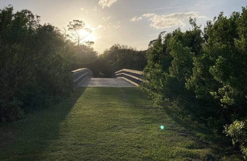 Ocean Cay House | Amelia Island Luxe: 700ft walk to beach, 5/4 single level w/pool & full lanai