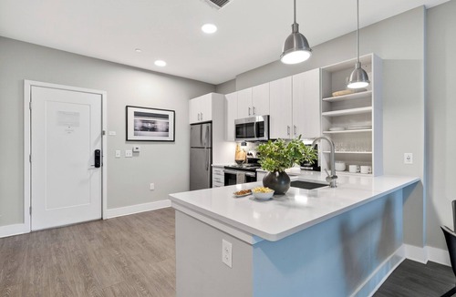 Hillsboro West End House | Bright 1BR + In-Unit Laundry + Terrace | Walk to Hillsboro Village | Belcourt