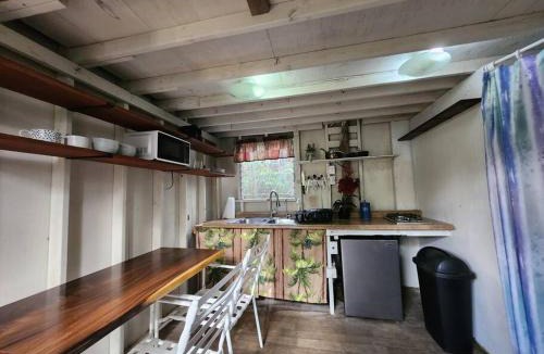 Fern Forest House | Cabin 2-Rustic private stay near Volcano National Park