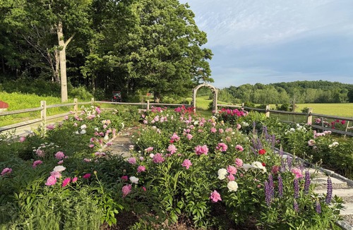 Brandon Cottage | Cozy 1-bedroom cottage on beautiful organic farm in Vermont