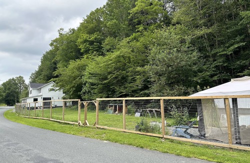 Livingston Manor Cottage | Cozy cottage near Livingston Manor with creek and fenced-in yard. Pet-friendly!