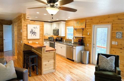 Clyde Cottage | Cozy Mountain Cabin Nestled on 3.5 Acres - Multi-Tier Deck, Creek Access!