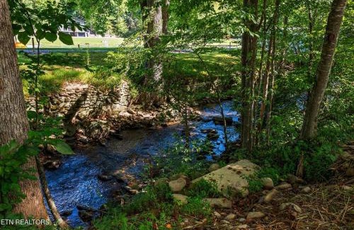 Chalet Village North Ski Chalet | Creekside Splash, Free Attraction Tickets, Private Indoor Pool, Theater Room, Game Area, Firepit!