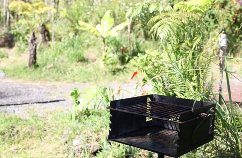 Fern Forest House | Digital Detox, Body-Positive Eco Retreat Center, Cabins #2 and #3