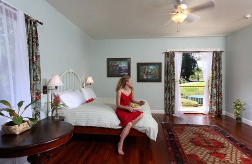 Kapaau Cabin | Eco-Boutique retreat center overlooking the pacific ocean