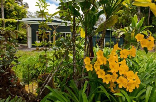 Volcano Bed & Breakfast | Hale 'Ohu Bed & Breakfast