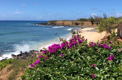 Ualapue Apartment | High-End Resort Condo Nestled on Molokai Shoreline