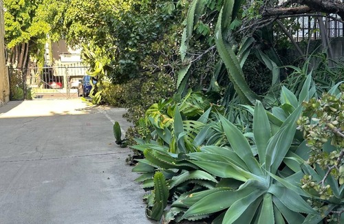 Hollywood Apartment | HOLLYWOOD GLORY - Delightful 1-bedroom apartment with AC in Los Angeles