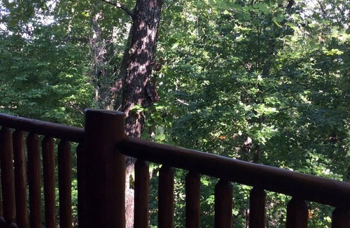 Sevierville Cabin | In between Gatlinburg and pigeon Forge