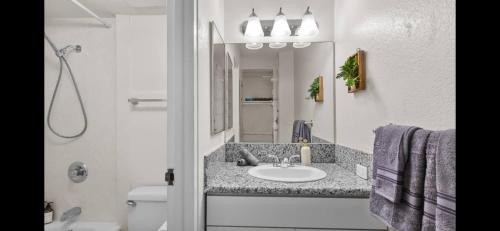 Waikiki Apartment | Island Ohana Hale