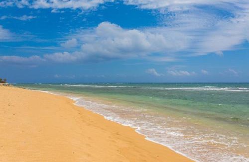 Wailua Apartment | Islander Ocean Resort Condo # 166